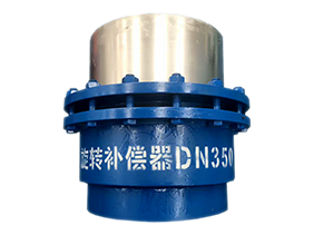 旋（xuán）轉（zhuǎn）補償（cháng）器